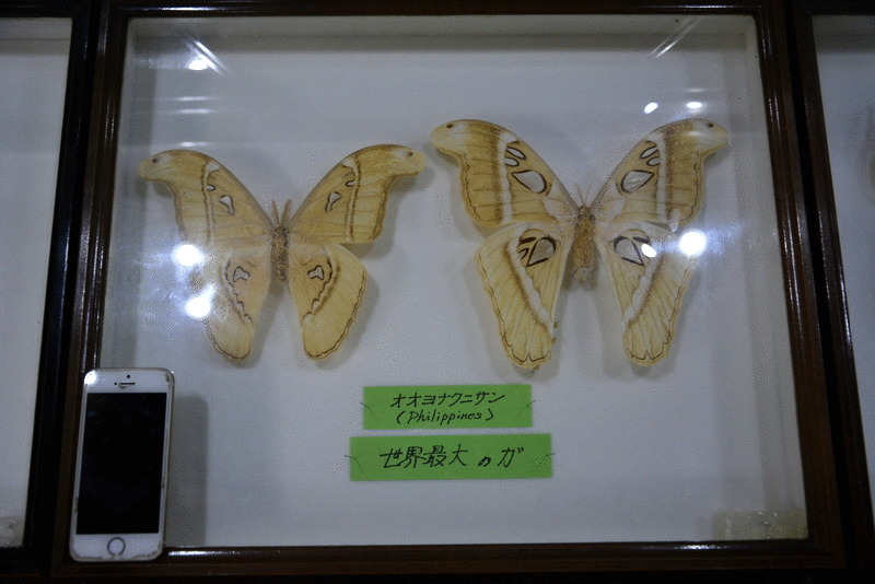 f:id:TSUKUBAtaishis:20160823014252g:plain f:id:TSUKUBAtaishis:20160823014252g:plain