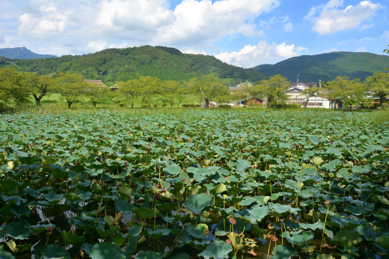f:id:TSUKUBAtaishis:20160913000145j:plain f:id:TSUKUBAtaishis:20160913000145j:plain