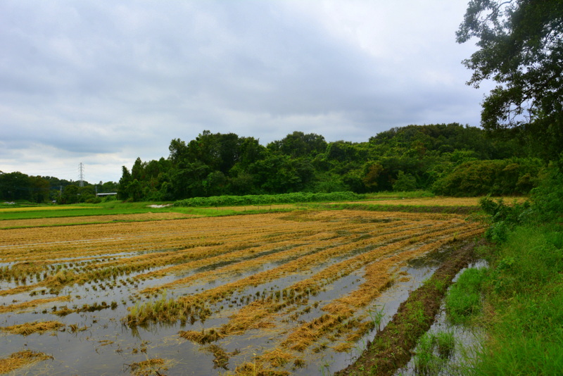 f:id:TSUKUBAtaishis:20160915093036j:plain f:id:TSUKUBAtaishis:20160915093036j:plain
