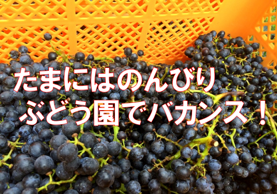 f:id:TSUKUBAtaishis:20160929101951p:plain f:id:TSUKUBAtaishis:20160929101951p:plain