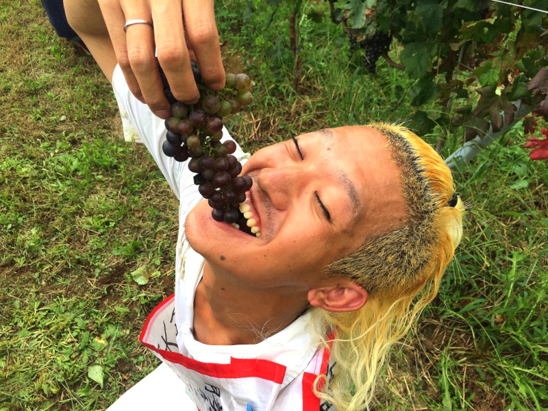 f:id:TSUKUBAtaishis:20160929101954j:plain f:id:TSUKUBAtaishis:20160929101954j:plain