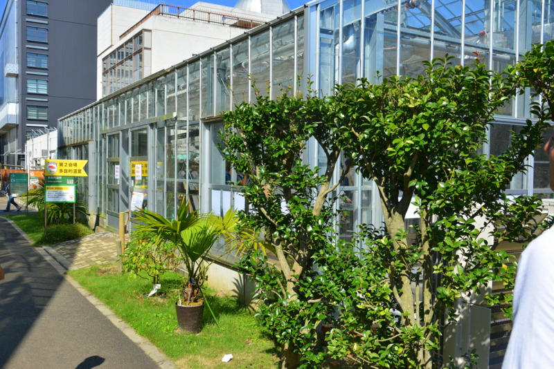 f:id:TSUKUBAtaishis:20161004022633j:plain f:id:TSUKUBAtaishis:20161004022633j:plain