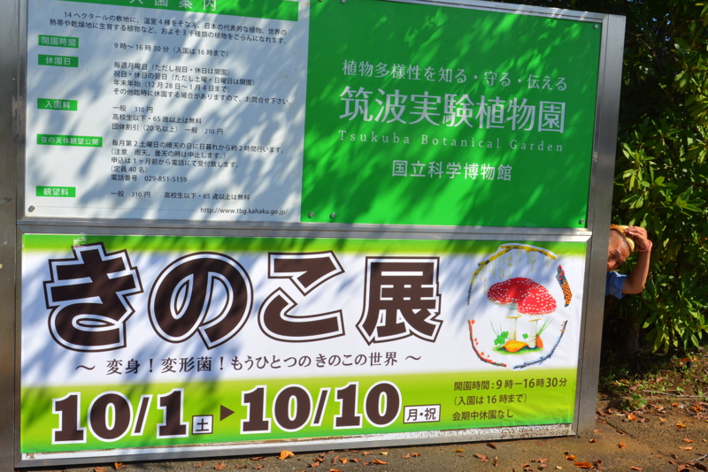 f:id:TSUKUBAtaishis:20161004022653j:plain f:id:TSUKUBAtaishis:20161004022653j:plain