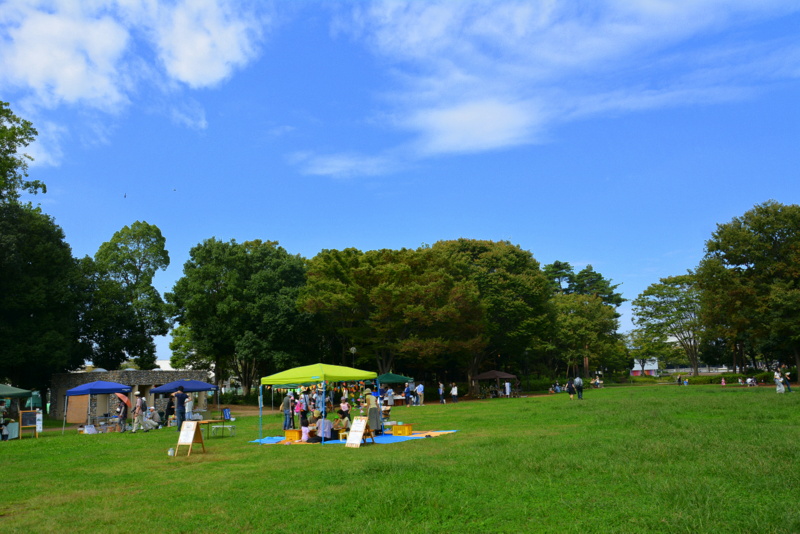 f:id:TSUKUBAtaishis:20161007234357j:plain