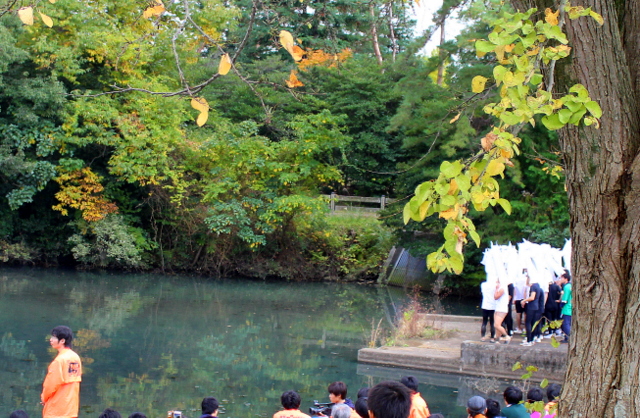 f:id:TSUKUBAtaishis:20161109022740j:plain f:id:TSUKUBAtaishis:20161109022740j:plain