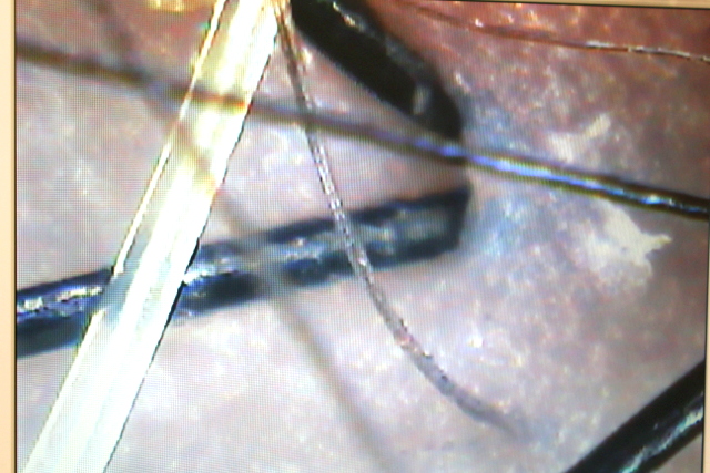 f:id:TSUKUBAtaishis:20161120231151j:plain f:id:TSUKUBAtaishis:20161120231151j:plain