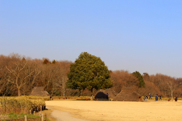 f:id:TSUKUBAtaishis:20170224161231j:plain f:id:TSUKUBAtaishis:20170224161231j:plain