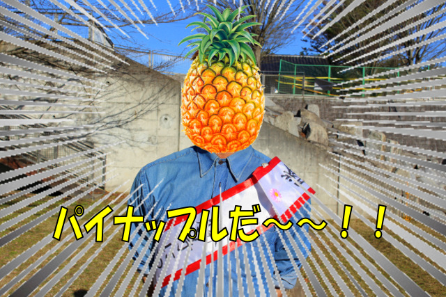 f:id:TSUKUBAtaishis:20170703151402p:plain f:id:TSUKUBAtaishis:20170703151402p:plain