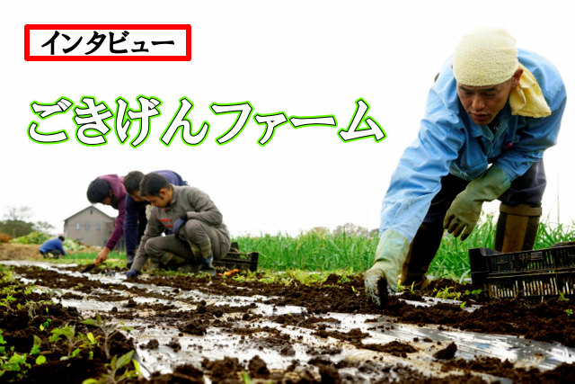 f:id:TSUKUBAtaishis:20171117162759p:plain f:id:TSUKUBAtaishis:20171117162759p:plain