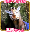 f:id:TSUKUBAtaishis:20180129075721p:plain f:id:TSUKUBAtaishis:20180129075721p:plain
