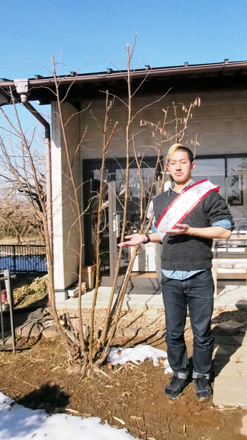 f:id:TSUKUBAtaishis:20180205150014j:plain f:id:TSUKUBAtaishis:20180205150014j:plain