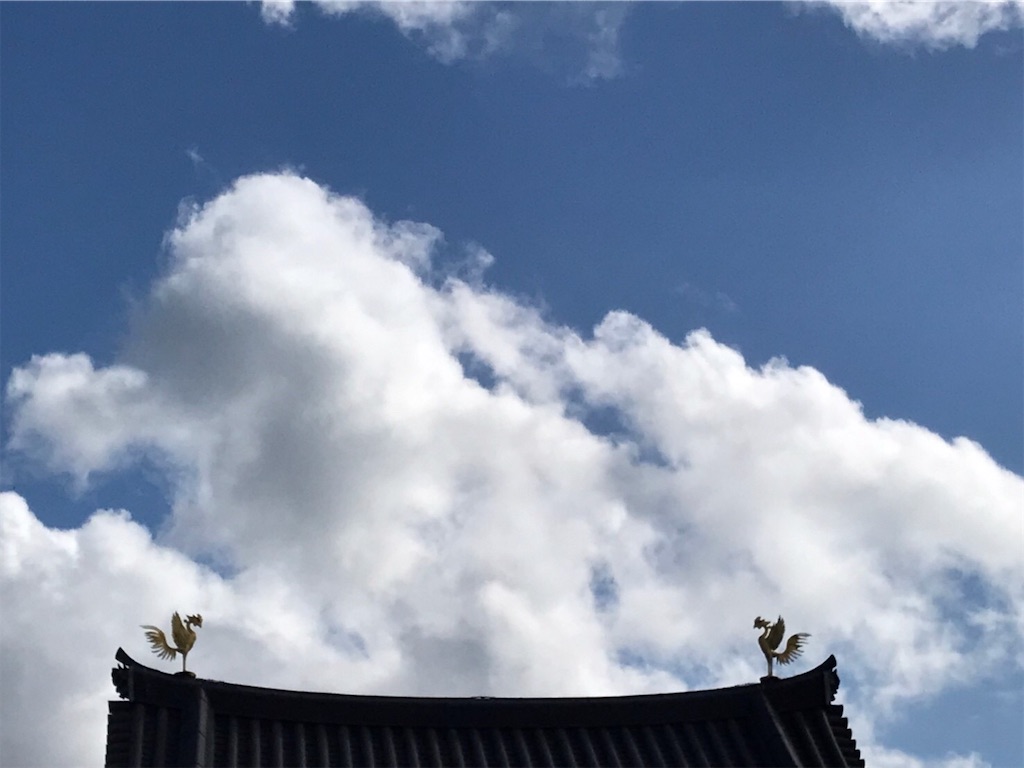 f:id:TSUNAGARU:20211109210217j:image f:id:TSUNAGARU:20211109210217j:image