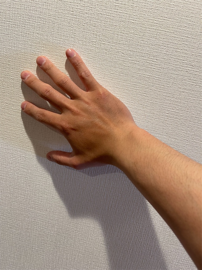 f:id:TSUNESPLANET:20230404143805j:image