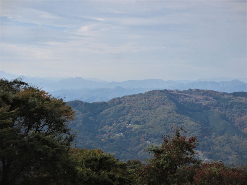 f:id:TTRanchor:20201109204733j:plain