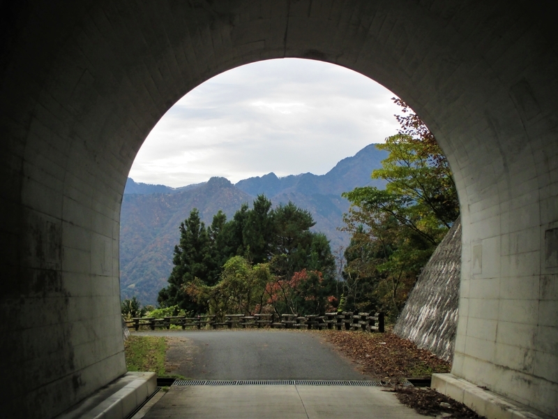 f:id:TTRanchor:20201109204742j:plain