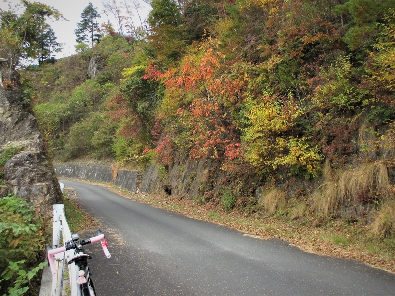 f:id:TTRanchor:20201109204802j:plain