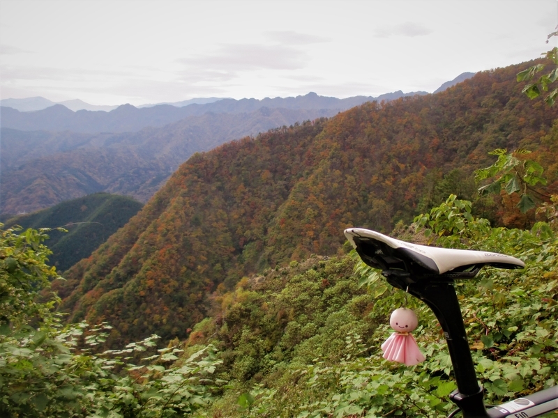 f:id:TTRanchor:20201109204810j:plain