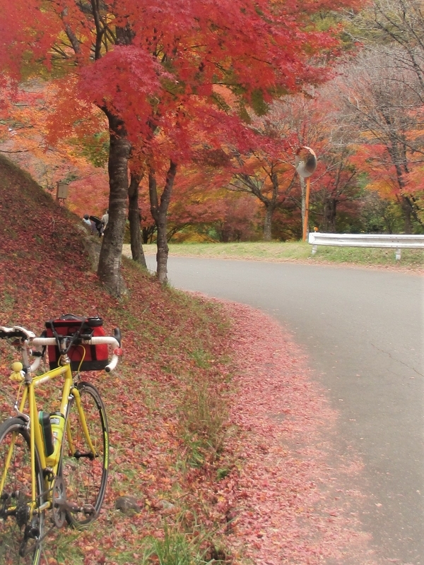 f:id:TTRanchor:20201109205726j:plain