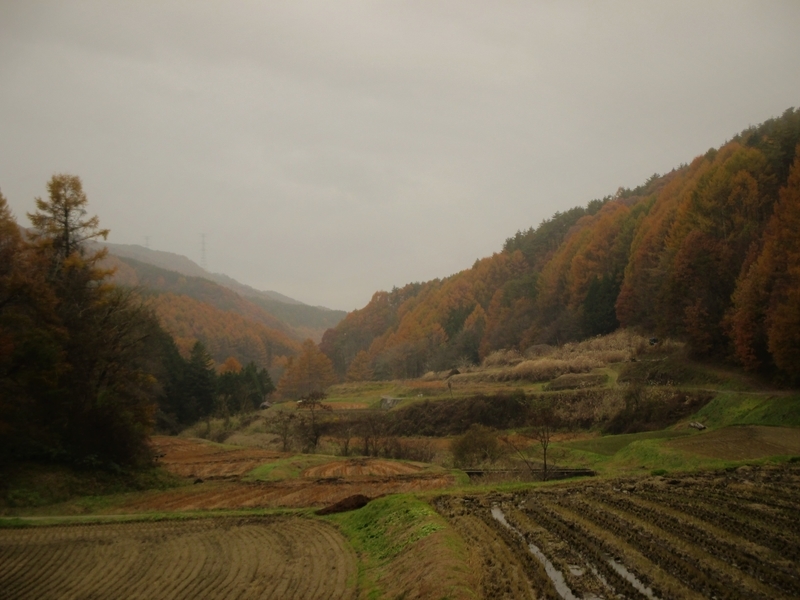 f:id:TTRanchor:20201109205747j:plain