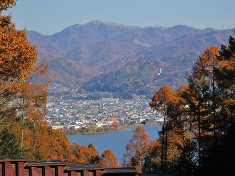 f:id:TTRanchor:20201109205835j:plain