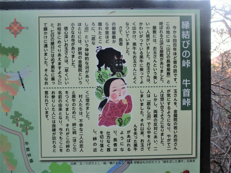 f:id:TTRanchor:20201109210008j:plain