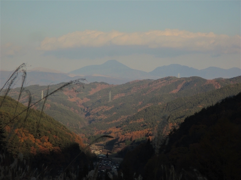f:id:TTRanchor:20201109210018j:plain