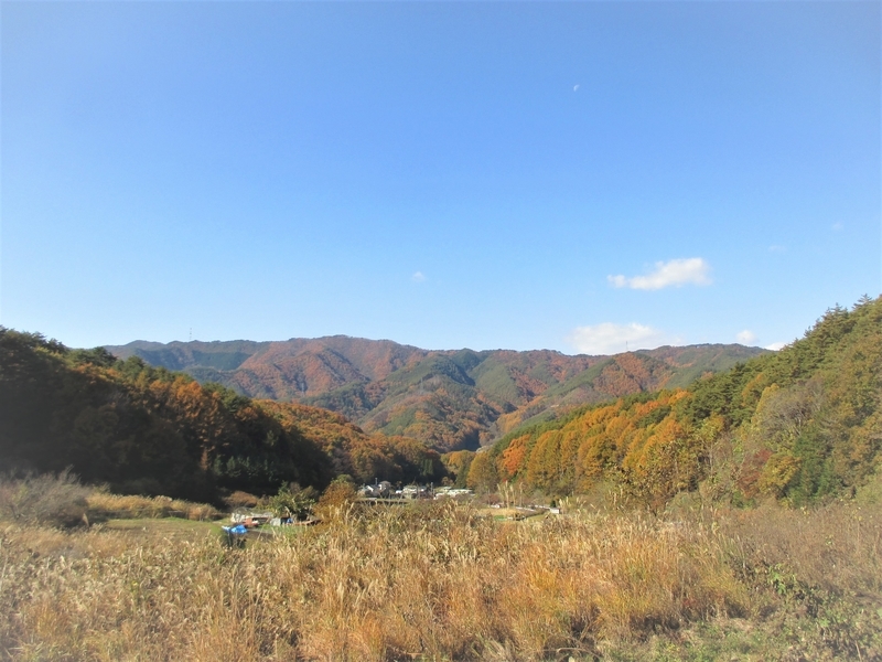 f:id:TTRanchor:20201109210037j:plain