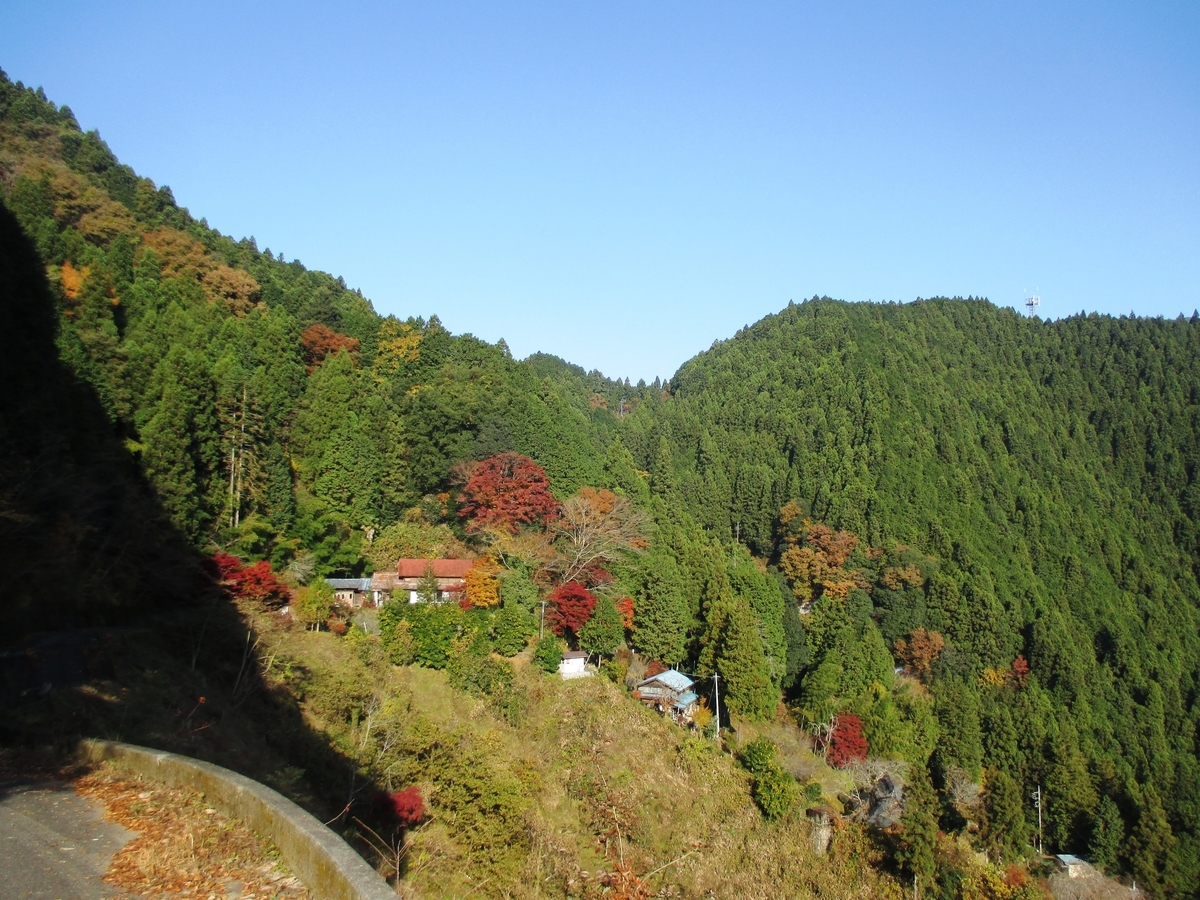 f:id:TTRanchor:20201118230213j:plain