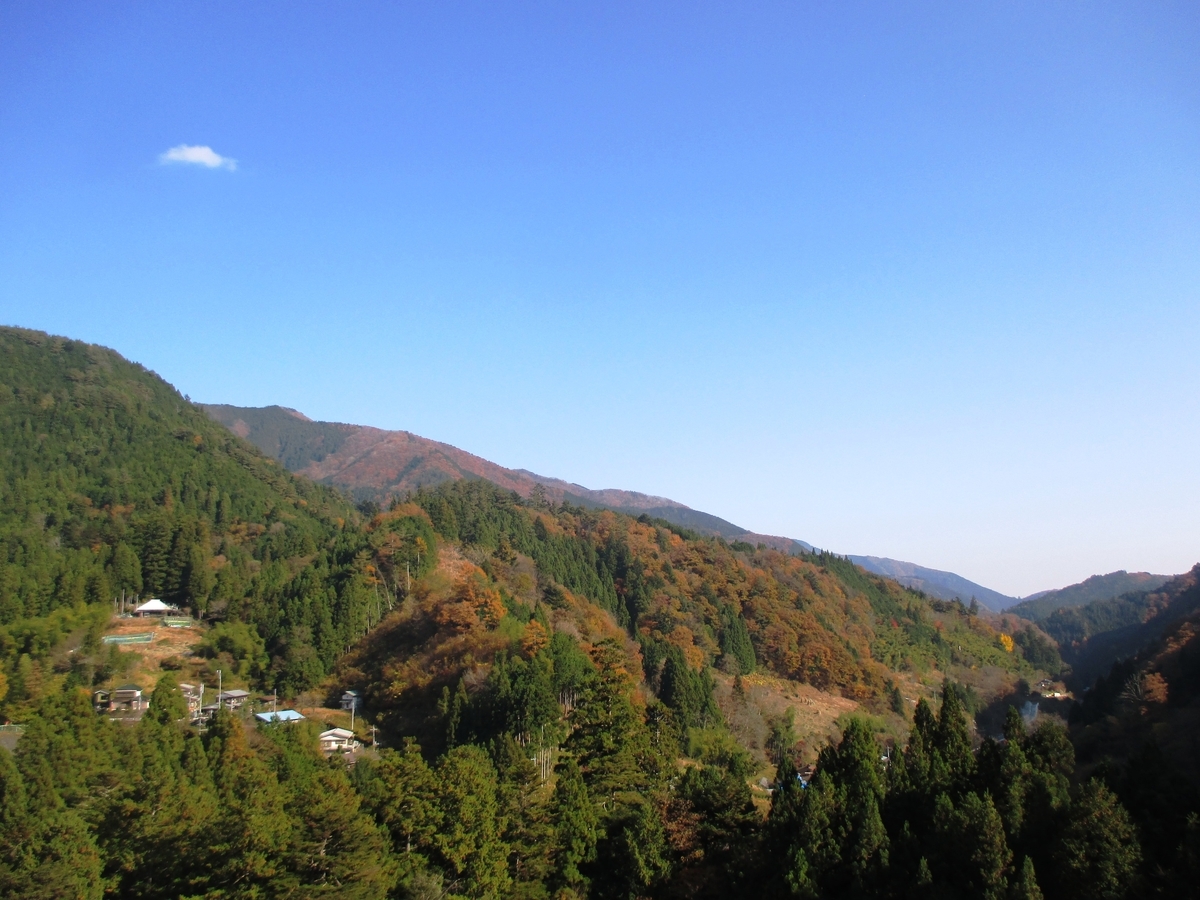 f:id:TTRanchor:20201118230728j:plain