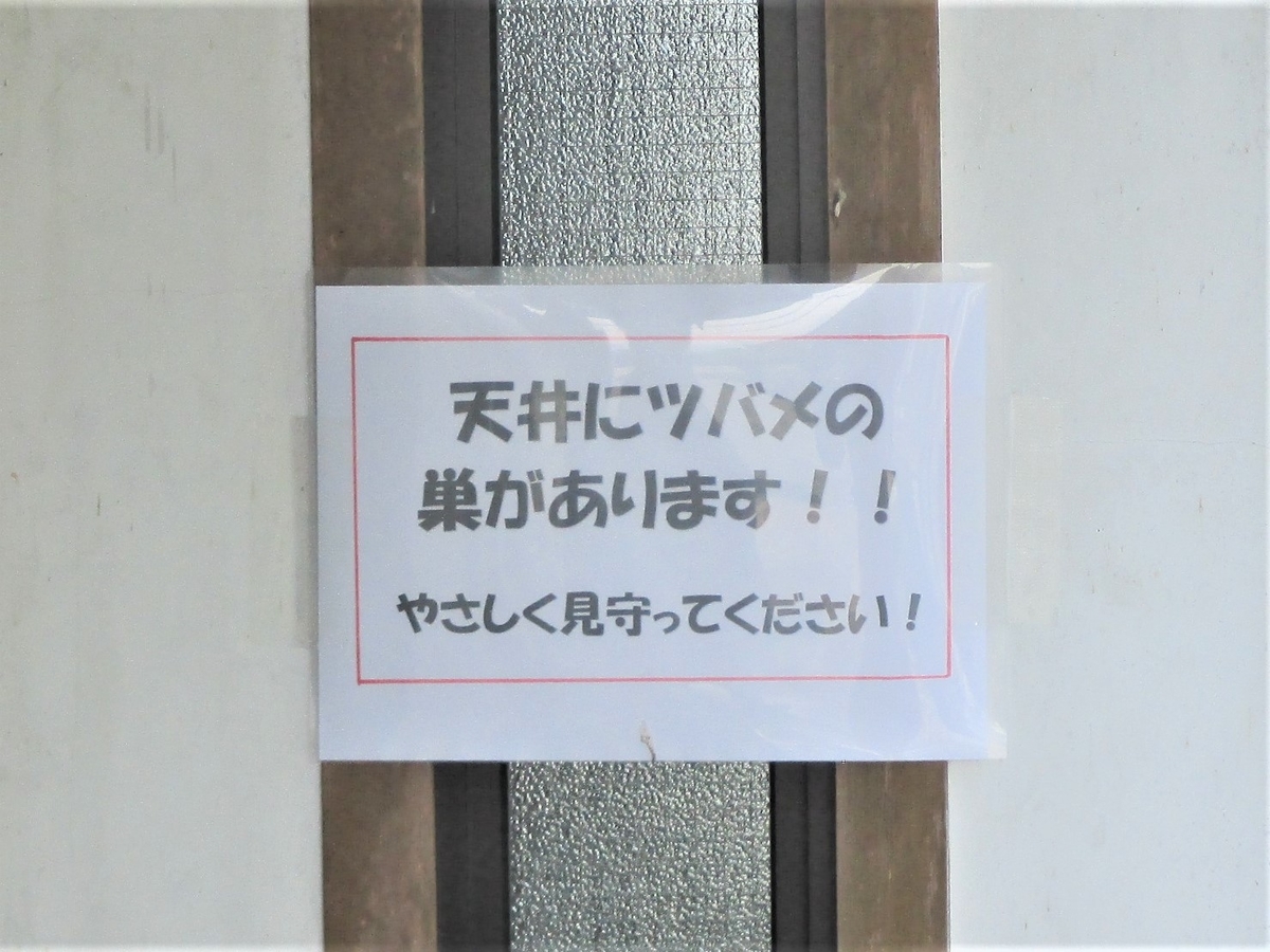f:id:TTRanchor:20210623101244j:plain