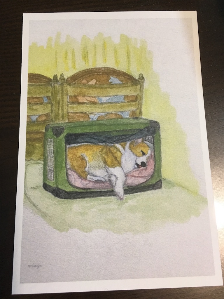 f:id:TUITERUchan:20190218140324j:image