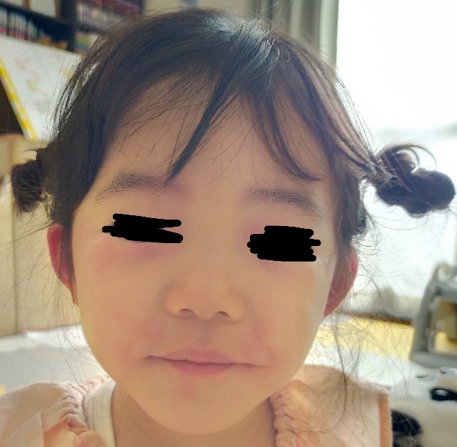 f:id:TUMAKATU:20240825234247j:image