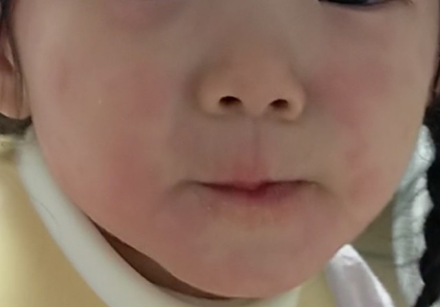 f:id:TUMAKATU:20240826082618j:image