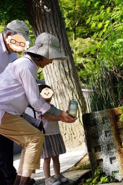 f:id:TUMAKATU:20241001001353j:image
