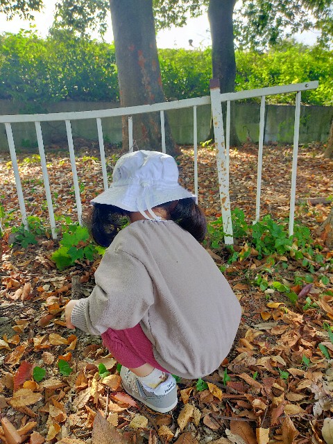 f:id:TUMAKATU:20241102235028j:image