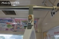 俺妹仕様の吊り手