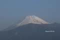 [沼津]港大橋から見た富士山（2021-02-22）