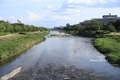 [京都]鴨川（2021-07-24）