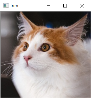 f:id:T_A_T:20190225223230p:plain f:id:T_A_T:20190225223230p:plain