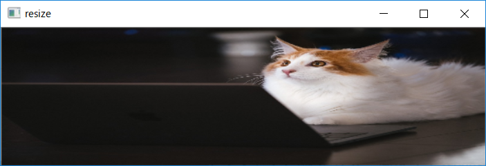 f:id:T_A_T:20190227231324p:plain