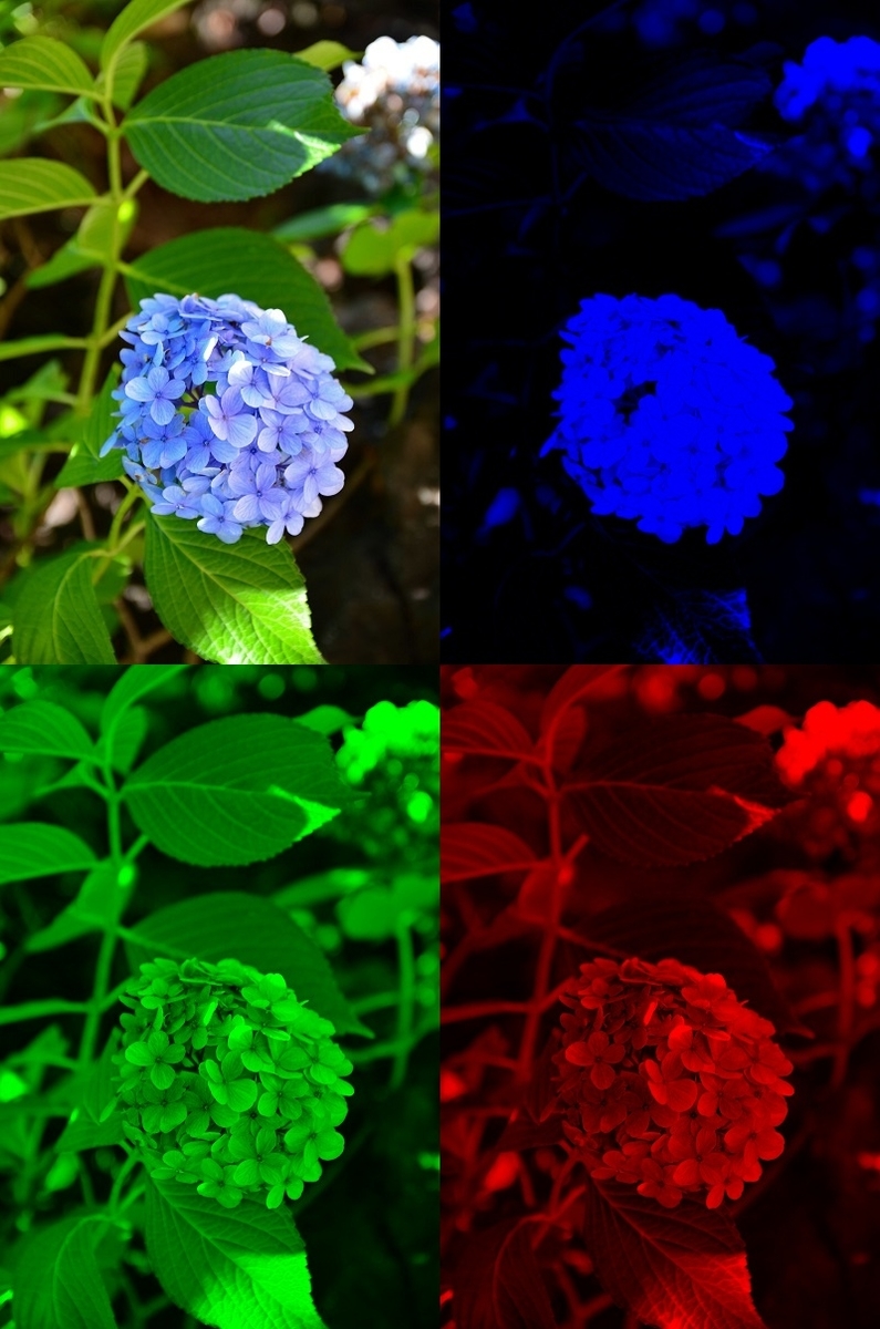 f:id:T_A_T:20190414112209j:plain