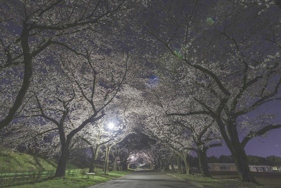 f:id:T_A_T:20190517220006j:plain