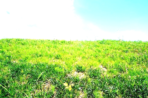 f:id:T_A_T:20200415194609j:plain