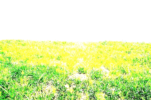 f:id:T_A_T:20200415194630j:plain