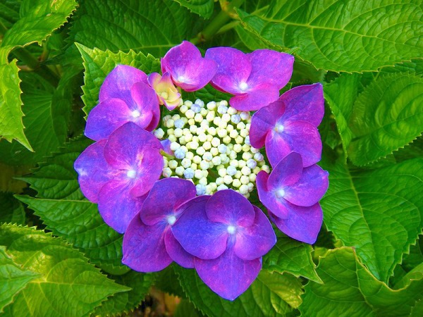 f:id:T_A_T:20210822212304j:plain
