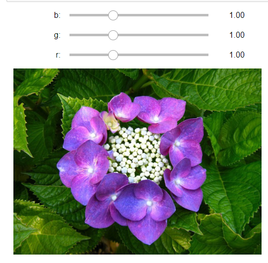 f:id:T_A_T:20210907202502p:plain