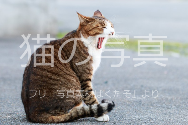 f:id:T_A_T:20210926130842p:plain