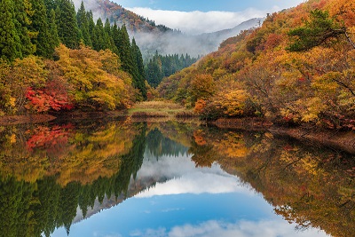 f:id:T_A_T:20220124191740j:plain