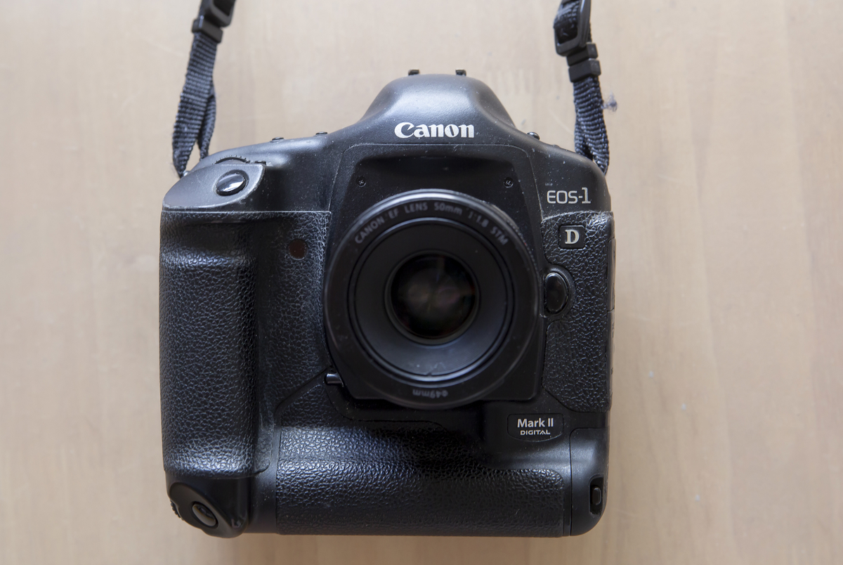 十ﾝ年前のハイエンド EOS-1D Mark2 - 雑食カメラマンの雑感記