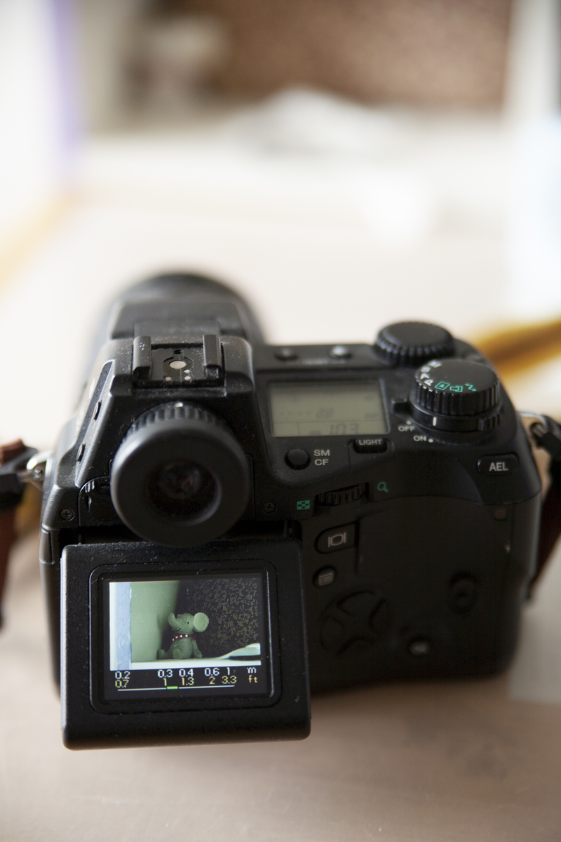 グリップがベタベタ過ぎなヤツ CAMEDIAE-10 - 雑食カメラマンの雑感記